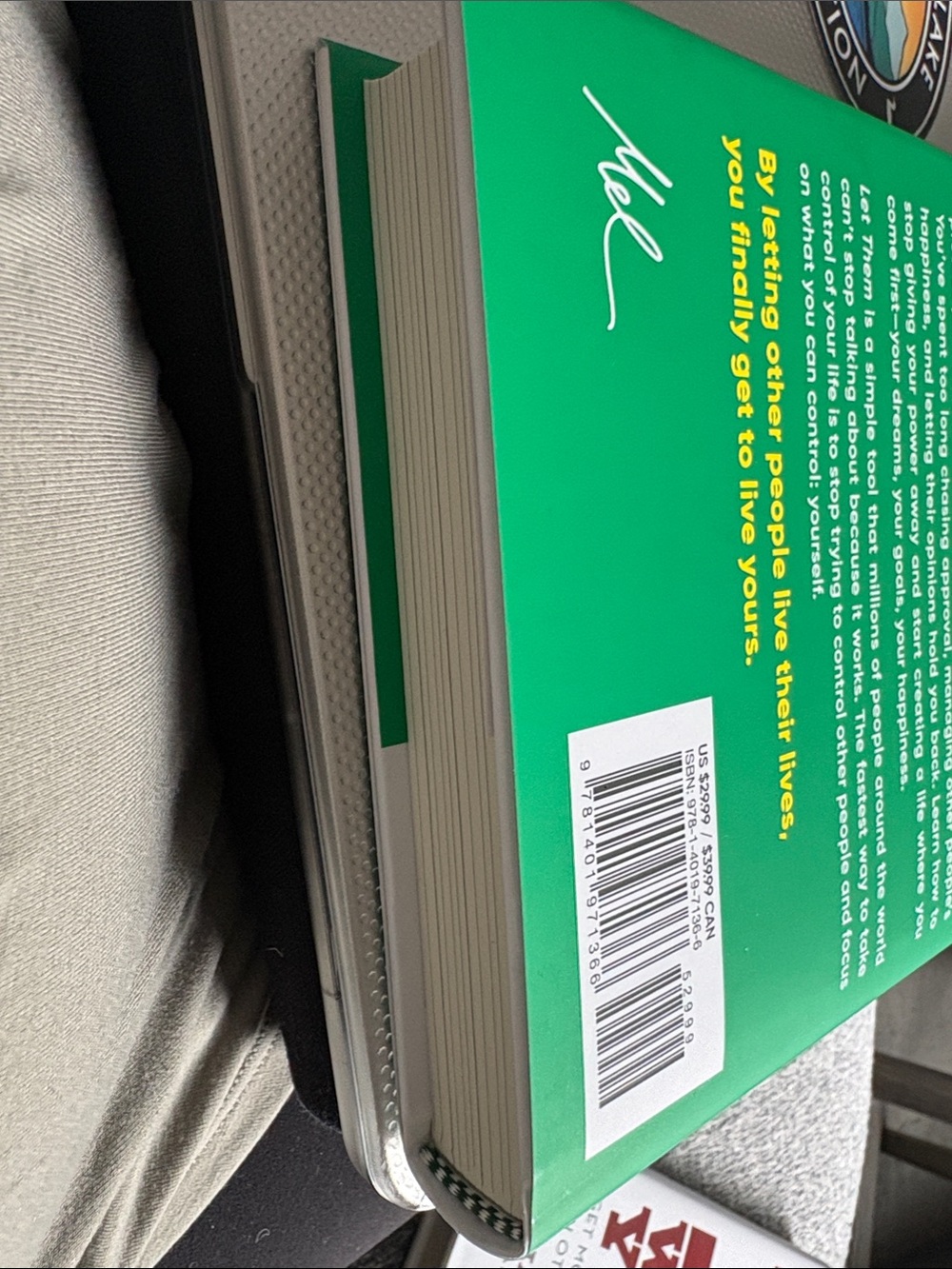 Green 'Let Them Theory' Book - Green - Picture 3 of 5
